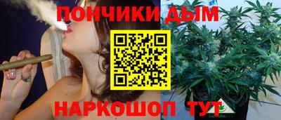 шишки Севастополь